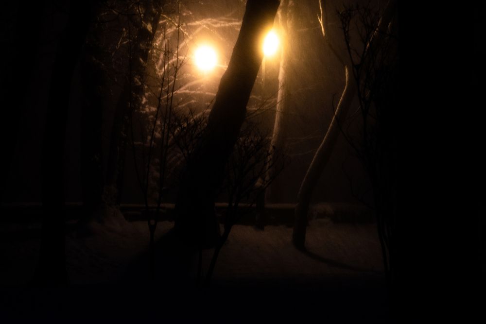 Снегопад в ночном парке