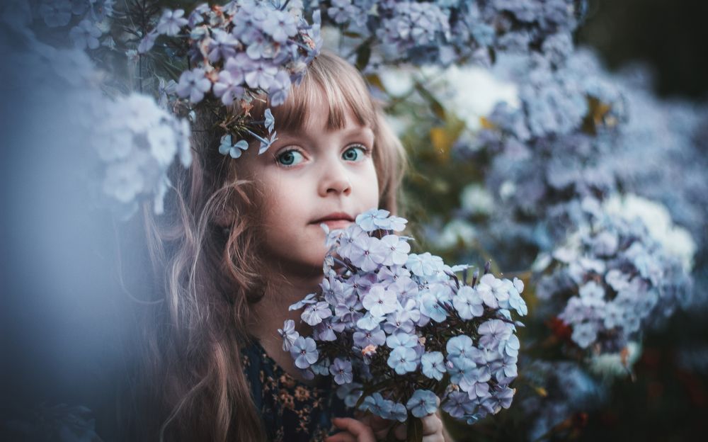 Photograph by Андрей Ложеницын
