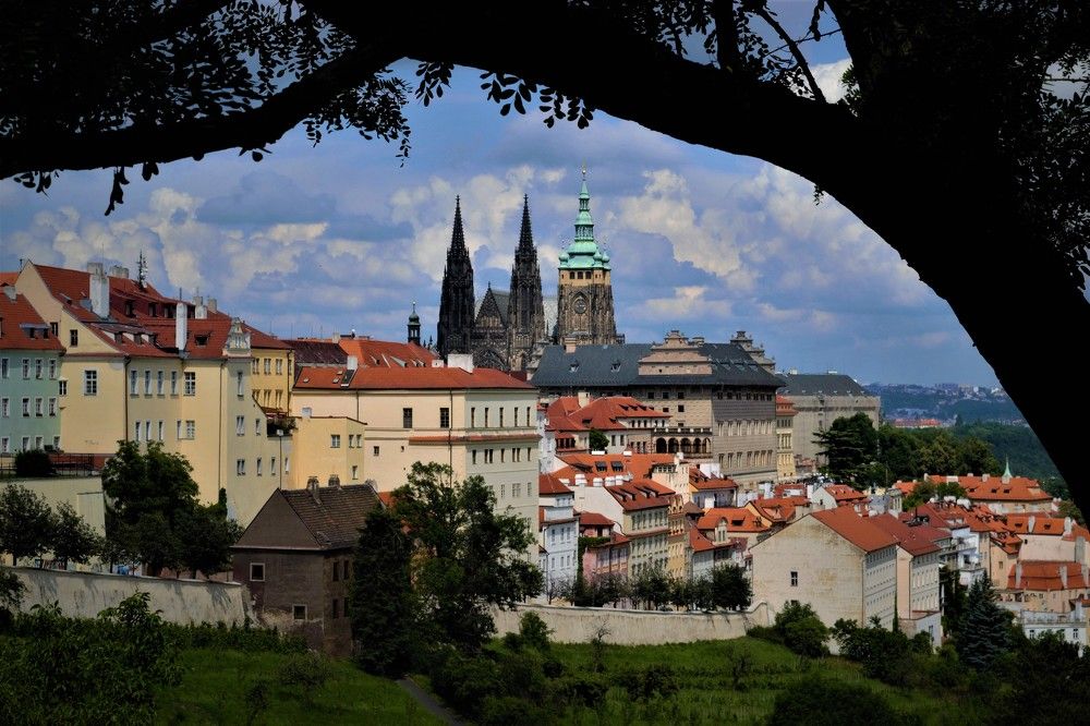 Photograph by Zdeňka Hudcová