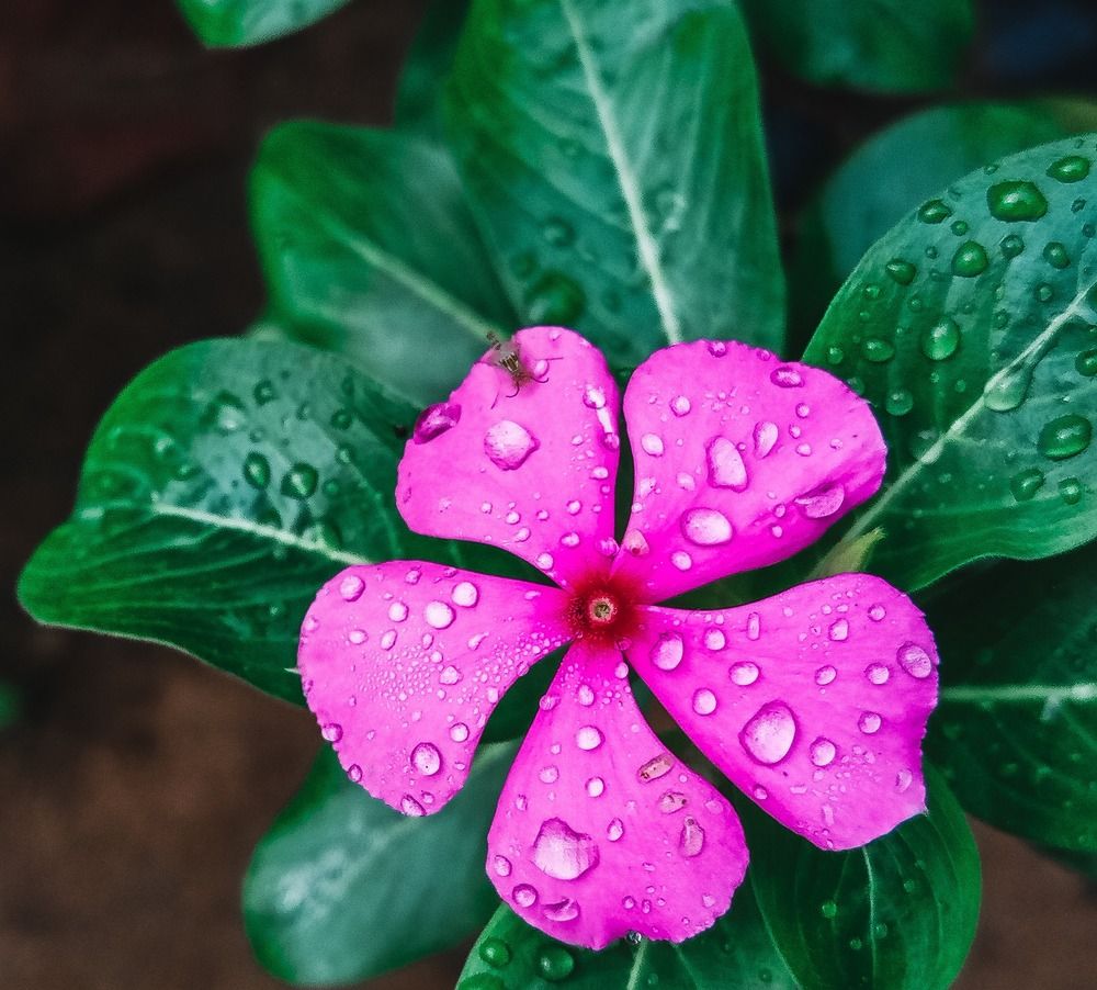 Photograph by Margaret Robert Bertram