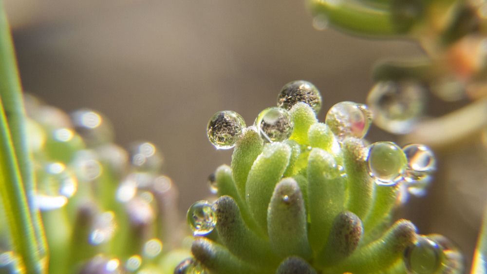 Фотография автора Виталий Медведь
