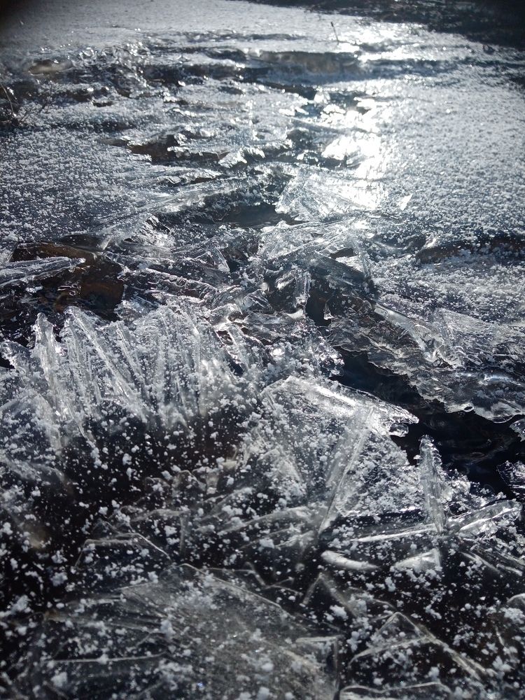 Photo #6027822