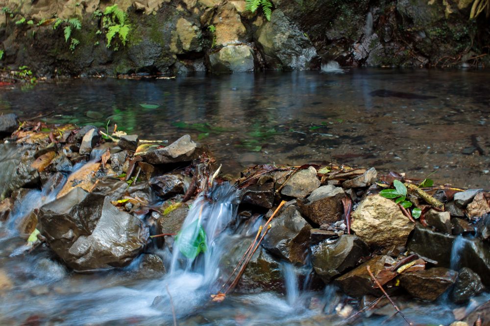 Photograph by Luis Par