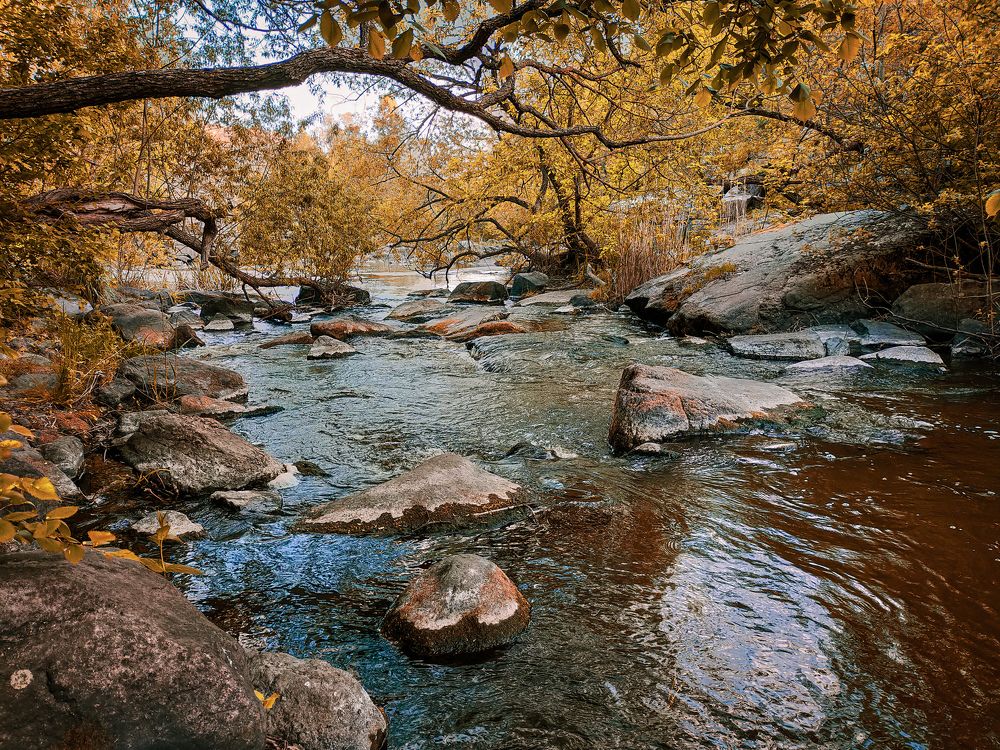 Релаксация