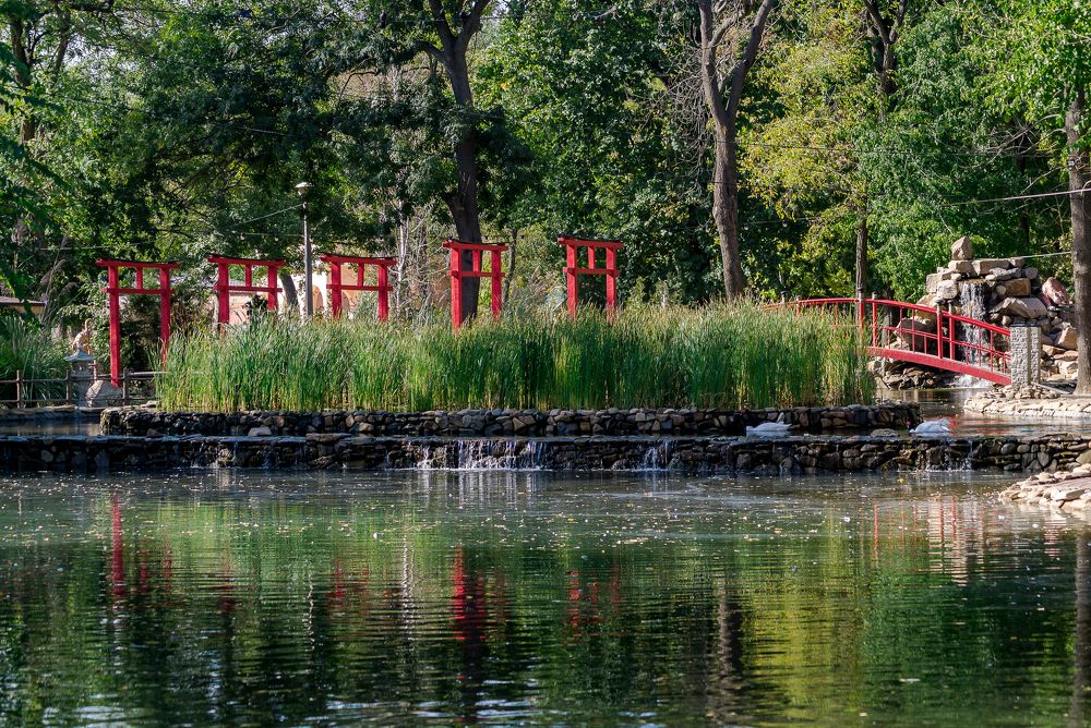 Фотография автора Александр Гилькевич