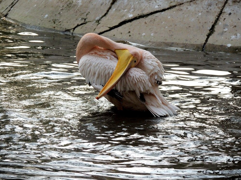 Photograph by Musab Malik