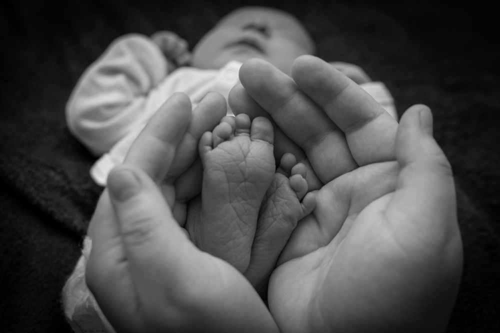 Photo #6028243