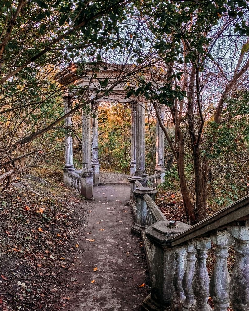 Autumn in an abandoned park