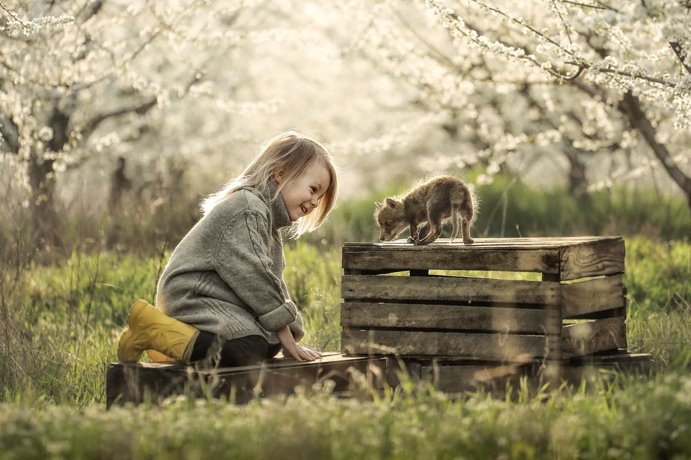 Photograph by Станкевич Анечка