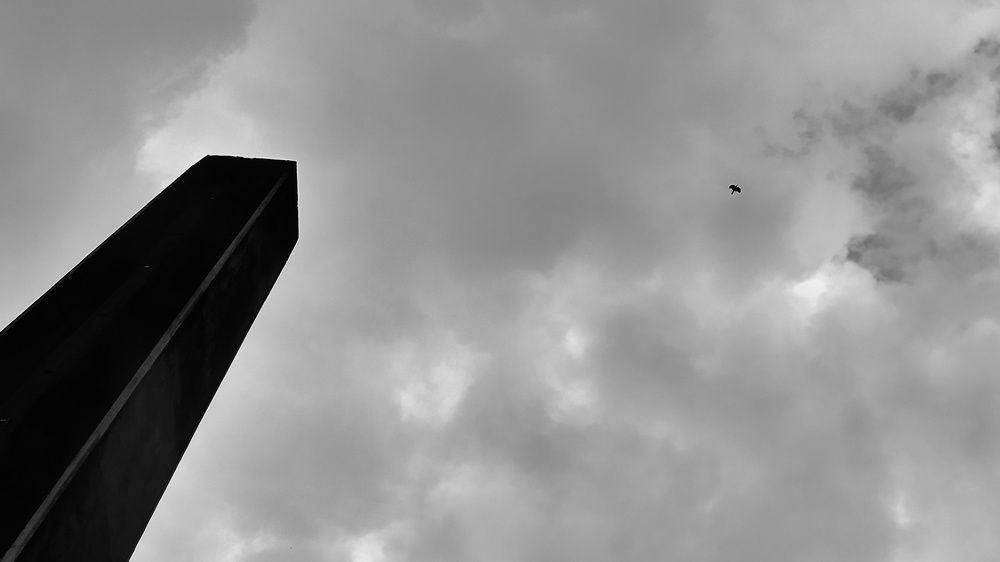 Photo #6028343