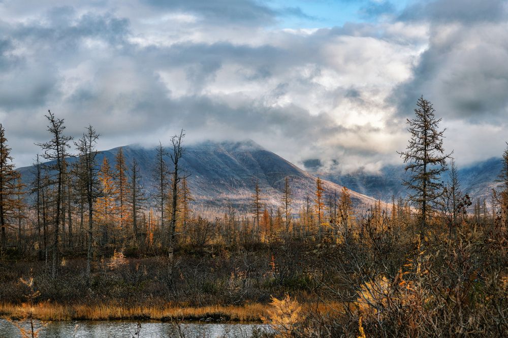 Photograph by Ирина Ульянова