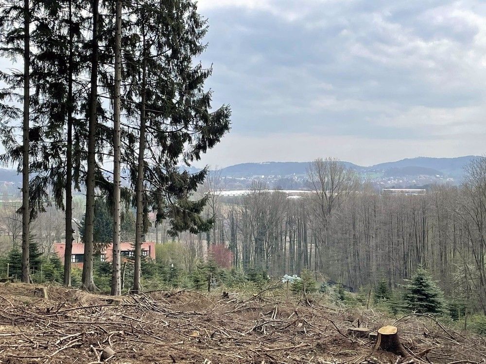 Photograph by Марина Дикманн