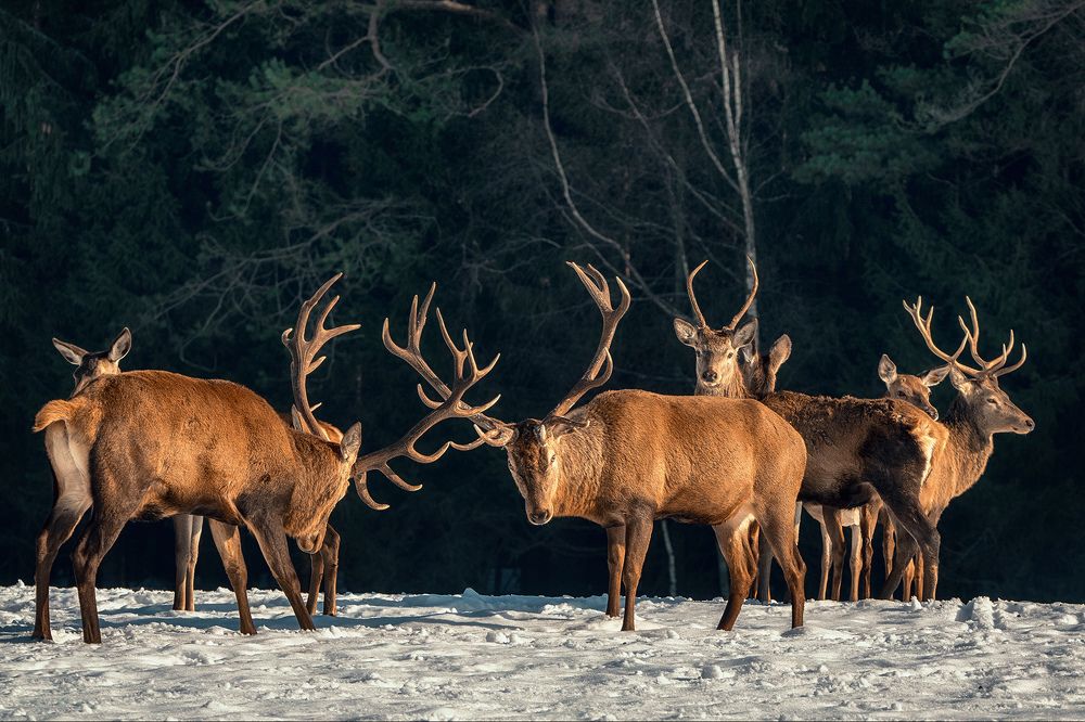 Photograph by Рашид Усманов