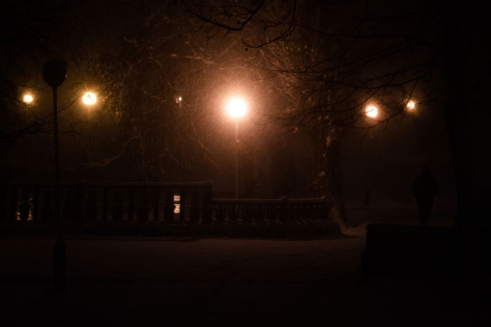 Сильный снегопад в городском парке