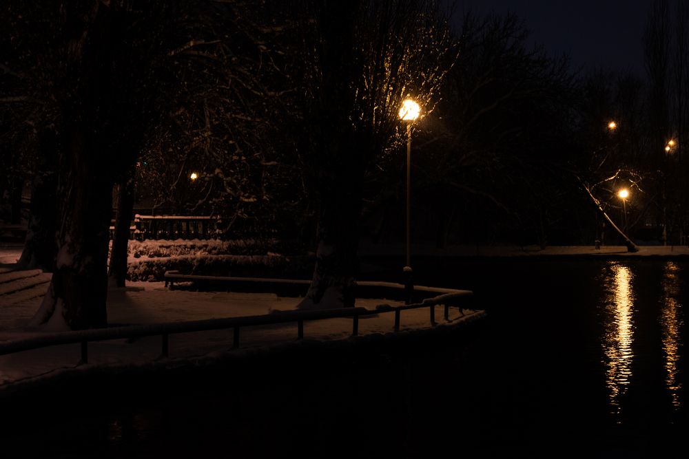 Около пруда в городском парке Краснодара