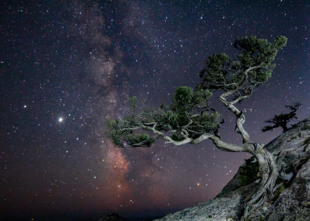 Photograph by Ирина Крепак