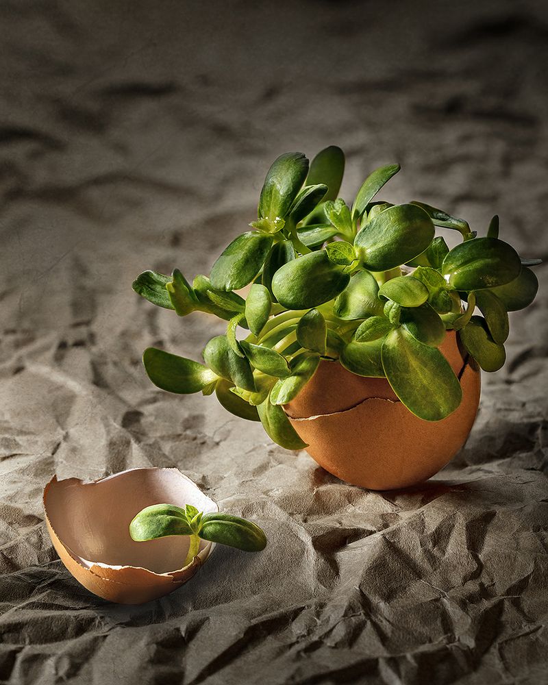 Фотография автора ЯR Ольга