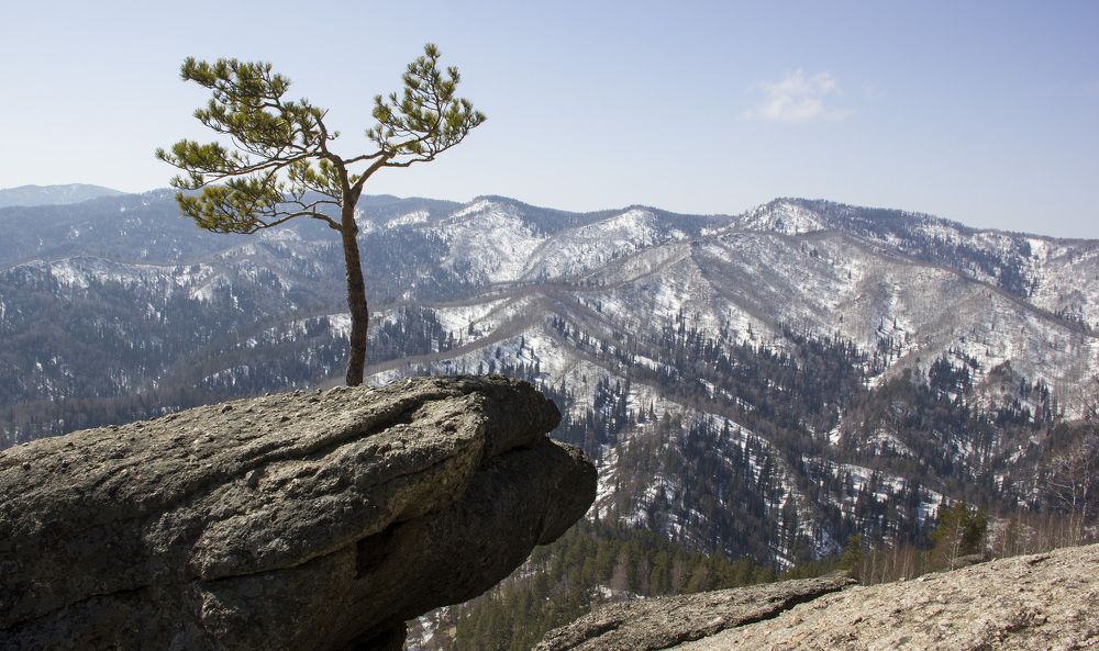 Photograph by Anna Gapanovich