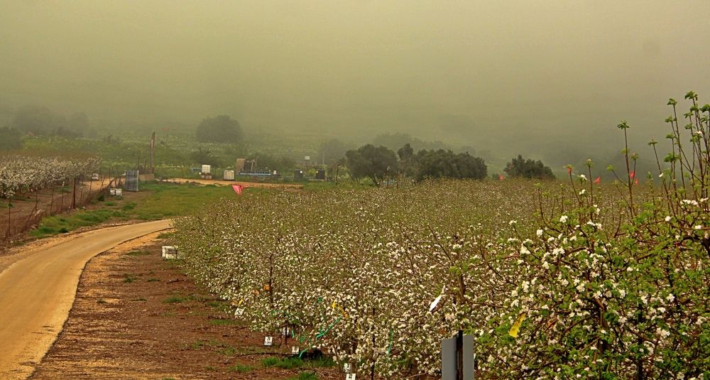 Photograph by Debbie Strauss