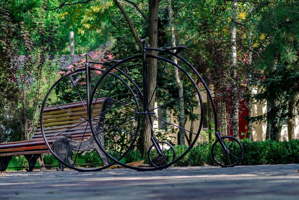 Фотография автора Александр Гилькевич