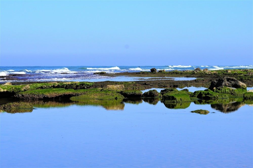 Photograph by Tamir Mor