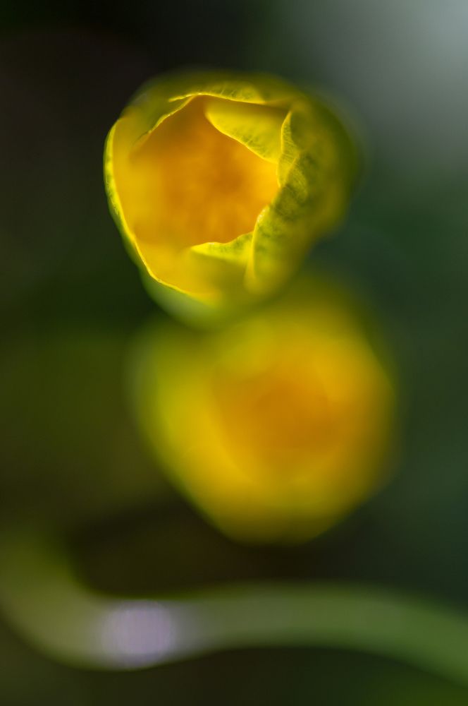 Photograph by Вячеслав