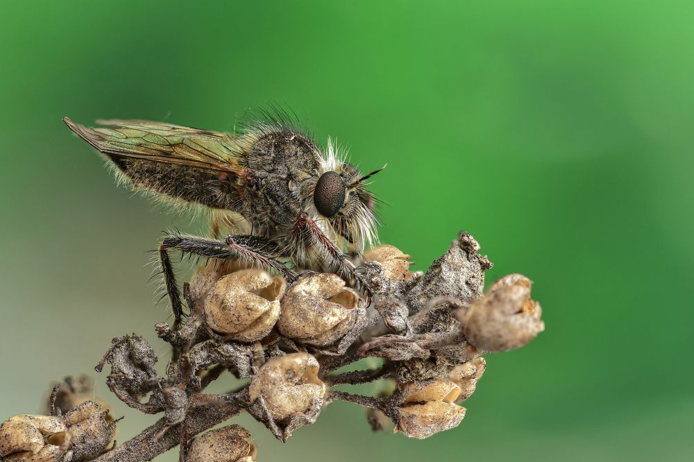 Photograph by Андрей Зимин