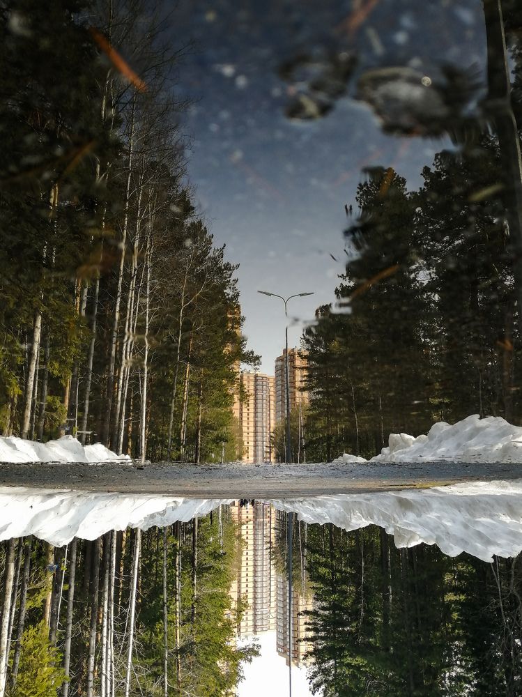 Photograph by Олеся Гейко