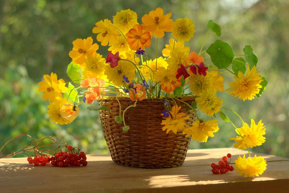 Осенний с калиной