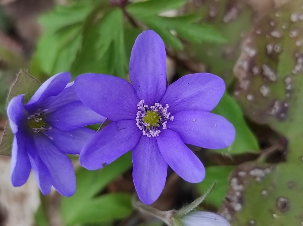 Photograph by Oleksandr Ivanyuk