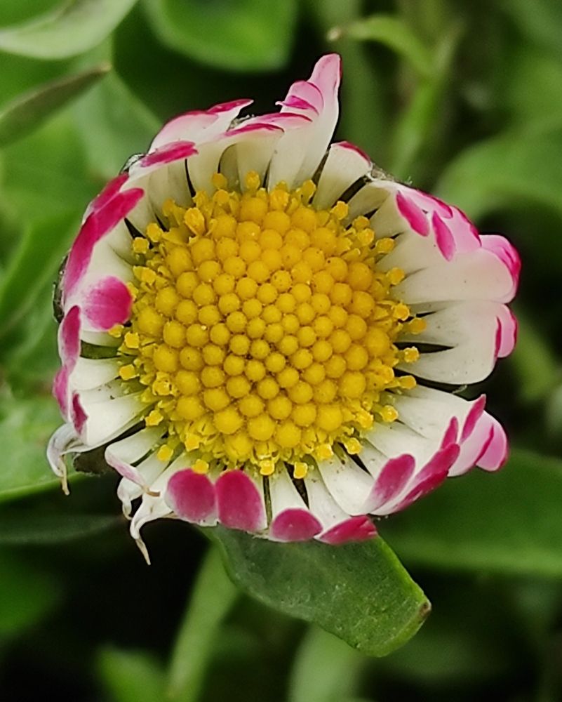 Photograph by Oleksandr Ivanyuk