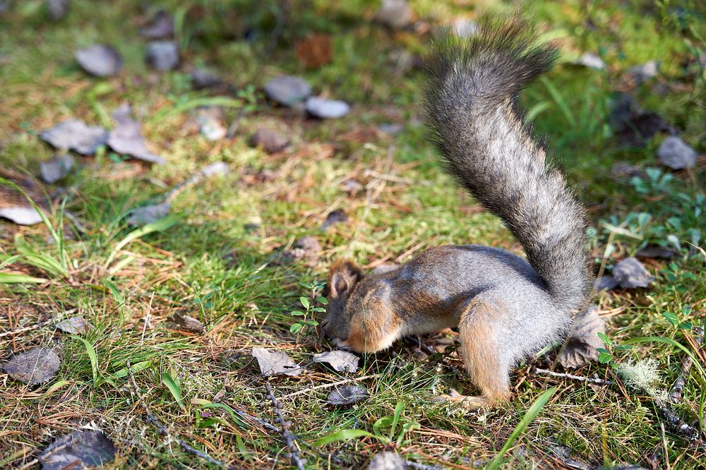 Photograph by Владимир Алексеев