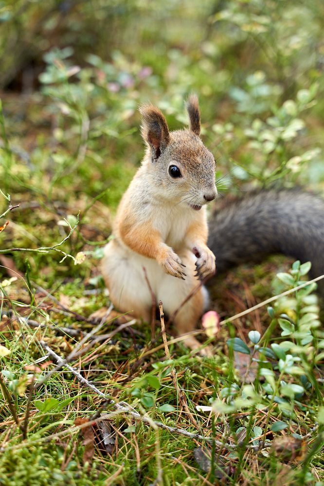 Photograph by Владимир Алексеев