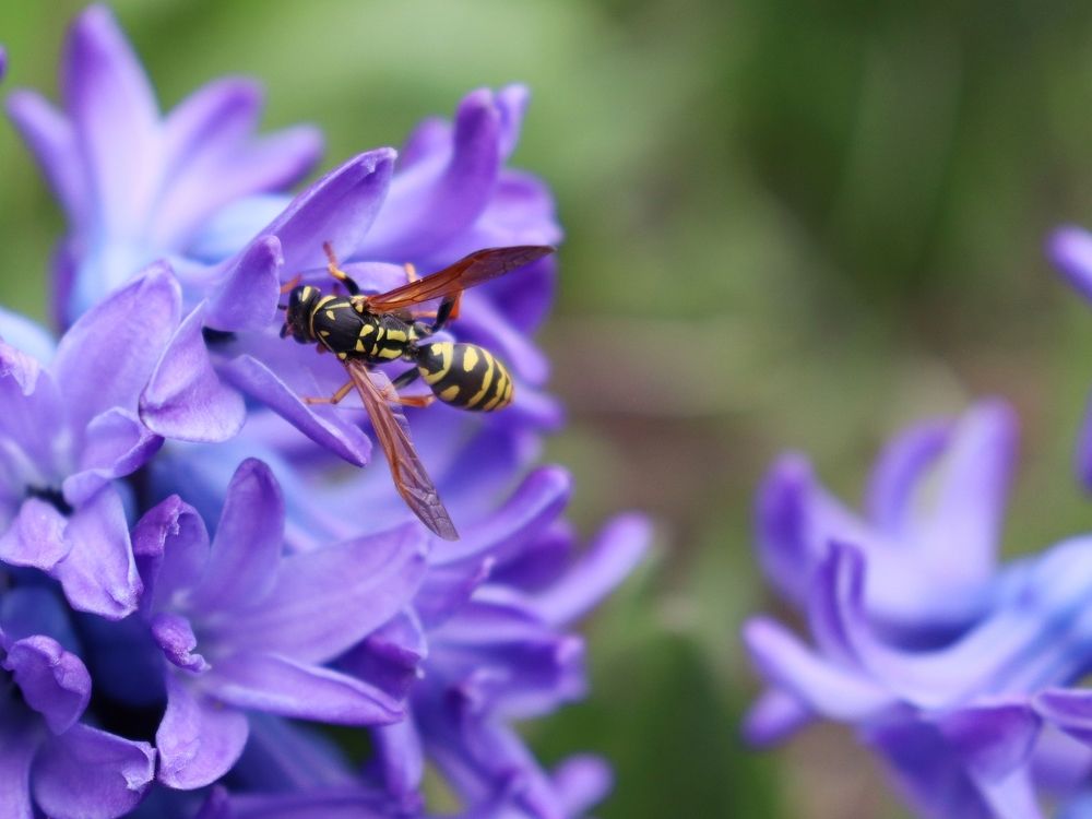 Photograph by Katerina Akalifa