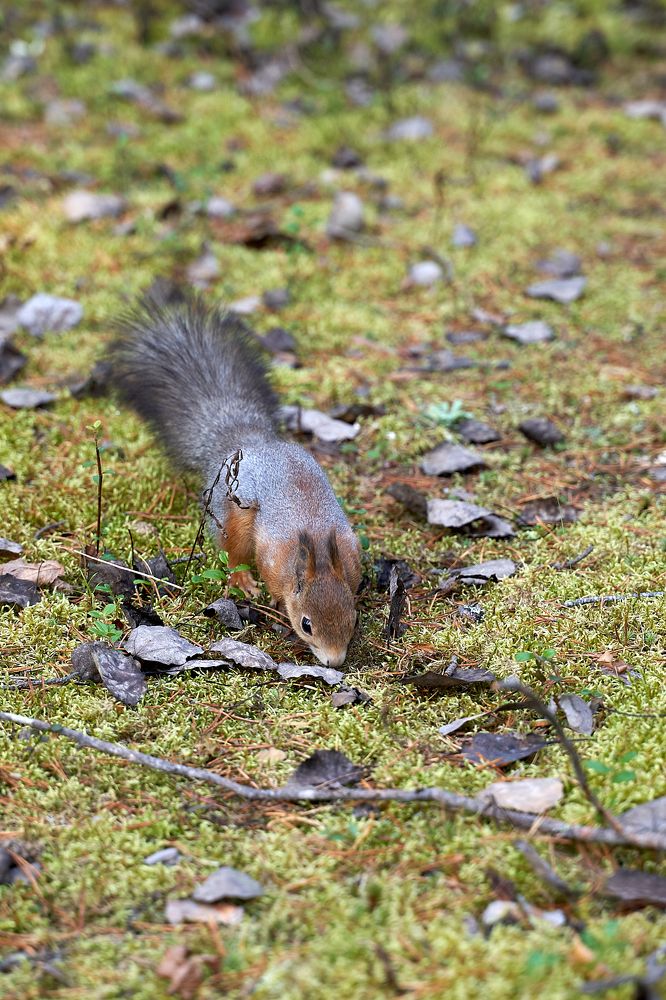 Photograph by Владимир Алексеев