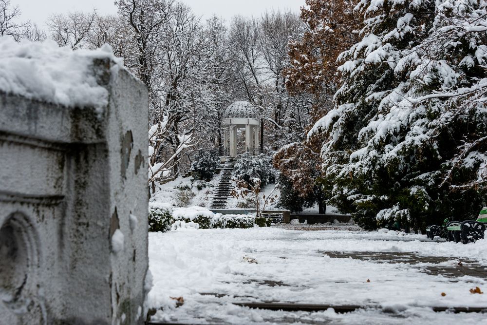 Краснодарский парк Горького зимой