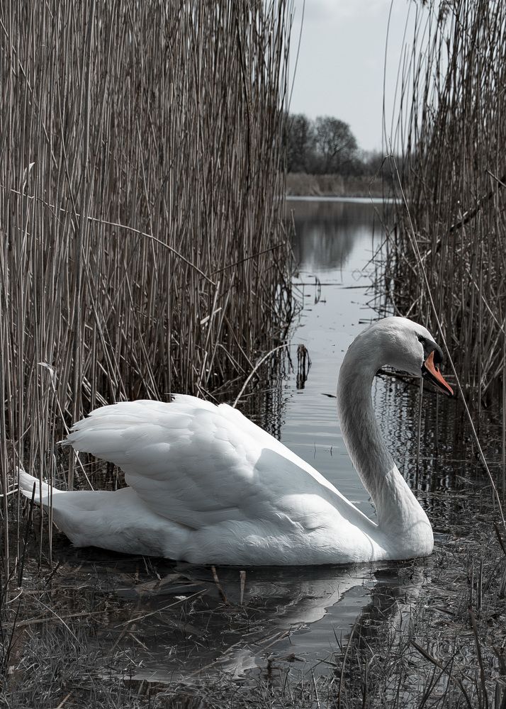 Photograph by Алексей Крукович