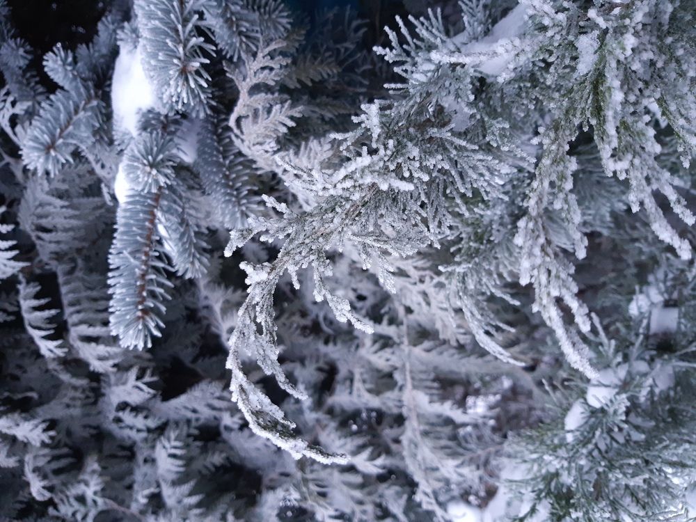 Photograph by Татьяна Кротова
