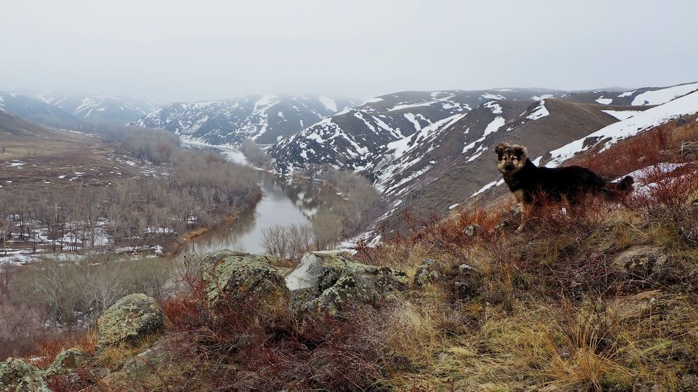 Photograph by Вячеслав Четверов