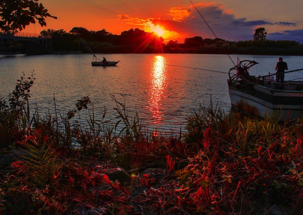 Photograph by Luisa Celli