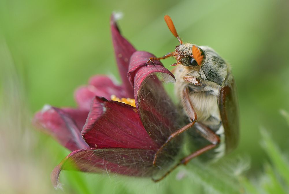 Фотография автора Билан Виктория