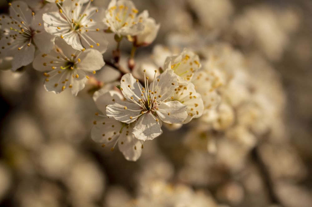 Photograph by Владимир Платонов