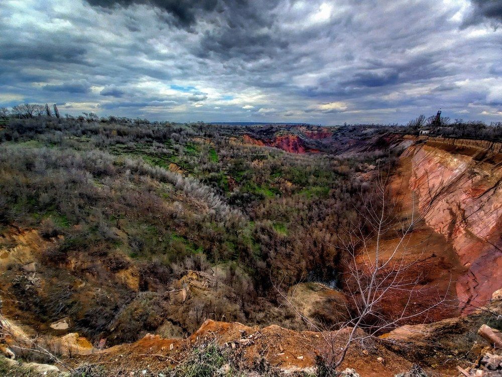 Фотография автора Алла Балабан