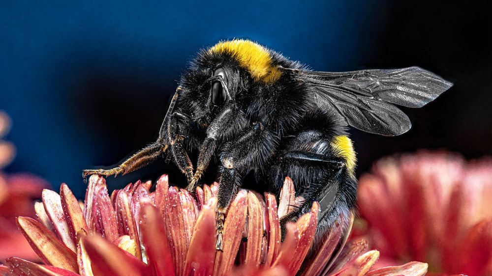 Photograph by Андрей Калинин