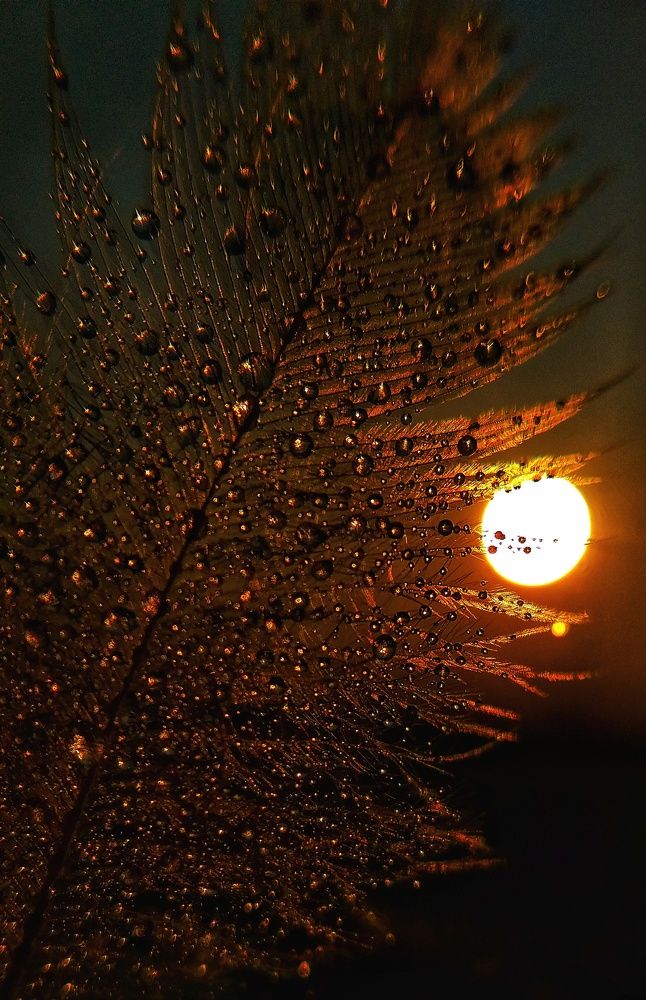 Photograph by Inna Kabanovich