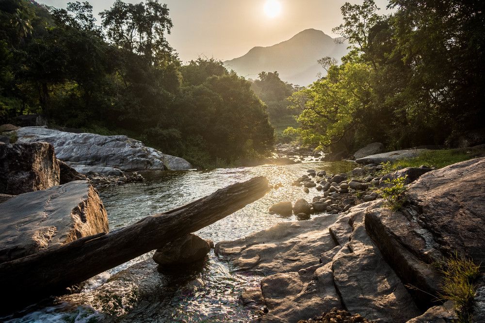 Photograph by Madushan Gunawardana
