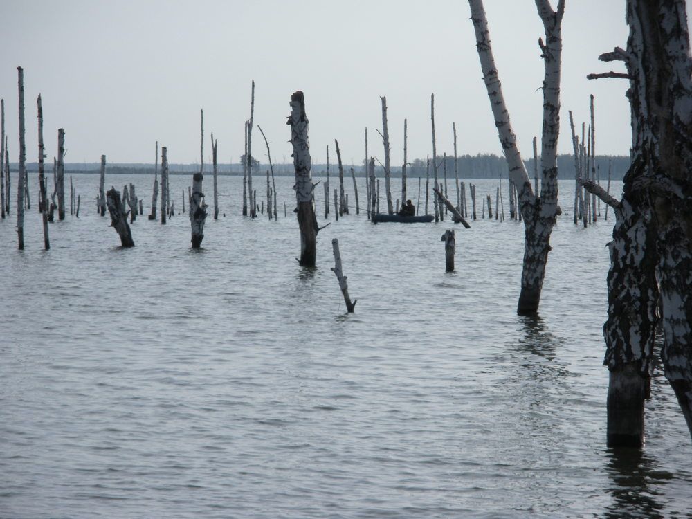 Photograph by Александра Лукашевич
