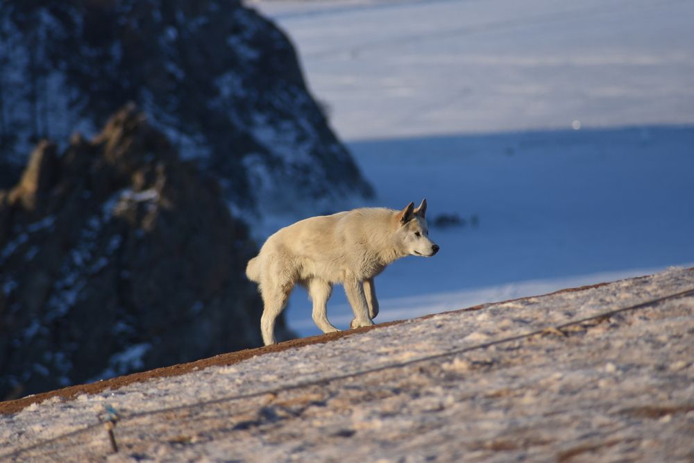 Photograph by Светлана Салмина