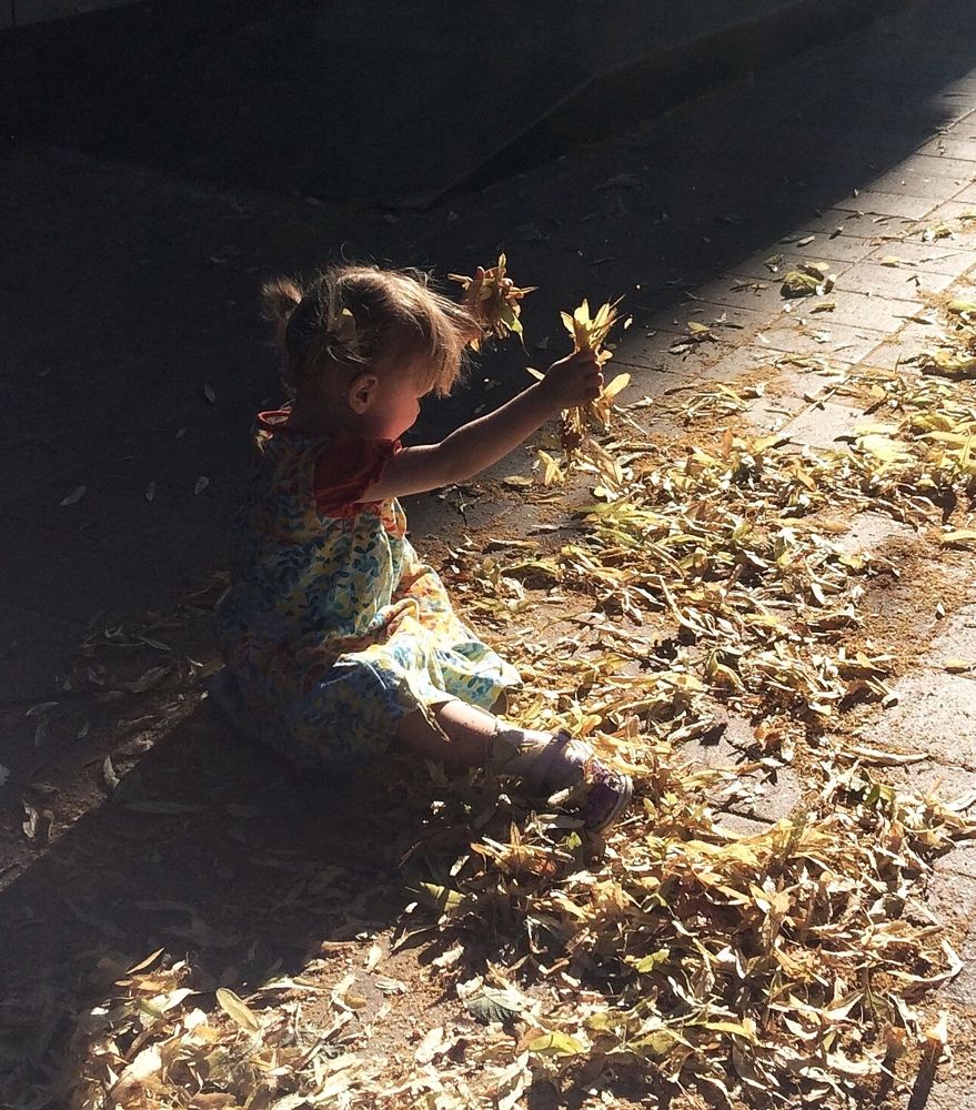 Photograph by Алексей Кроль