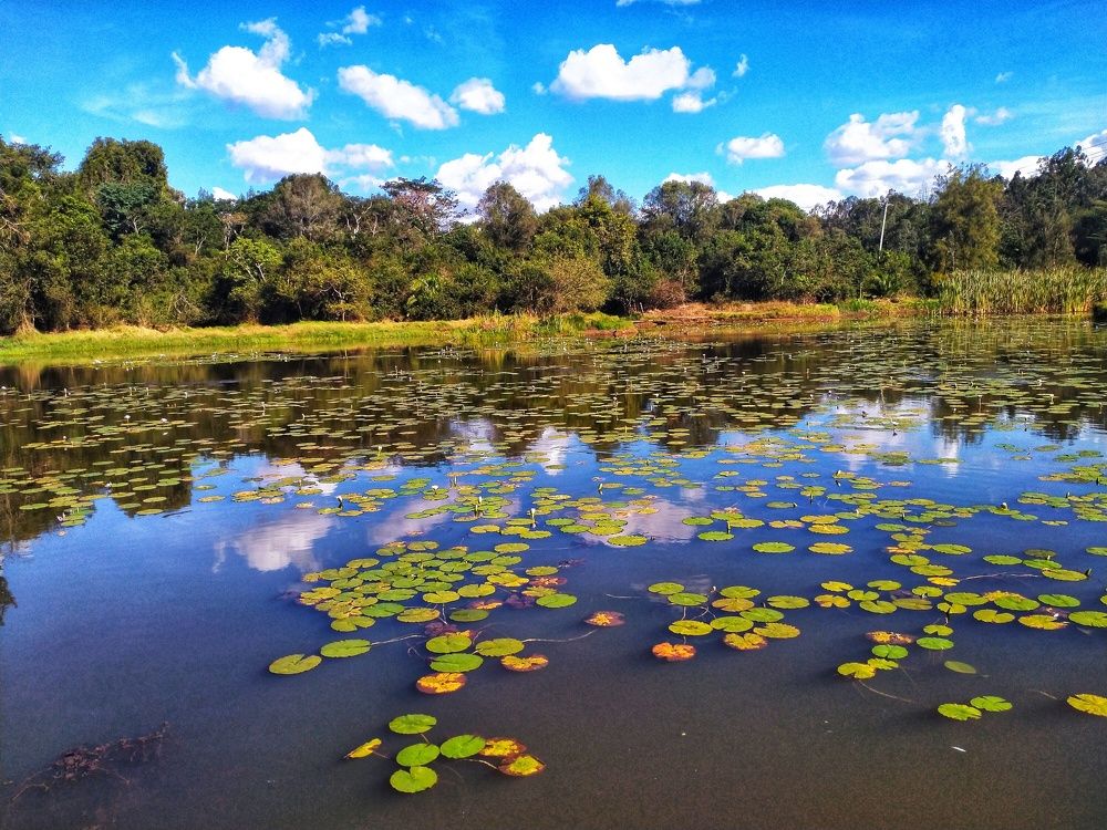 Photo #6030346